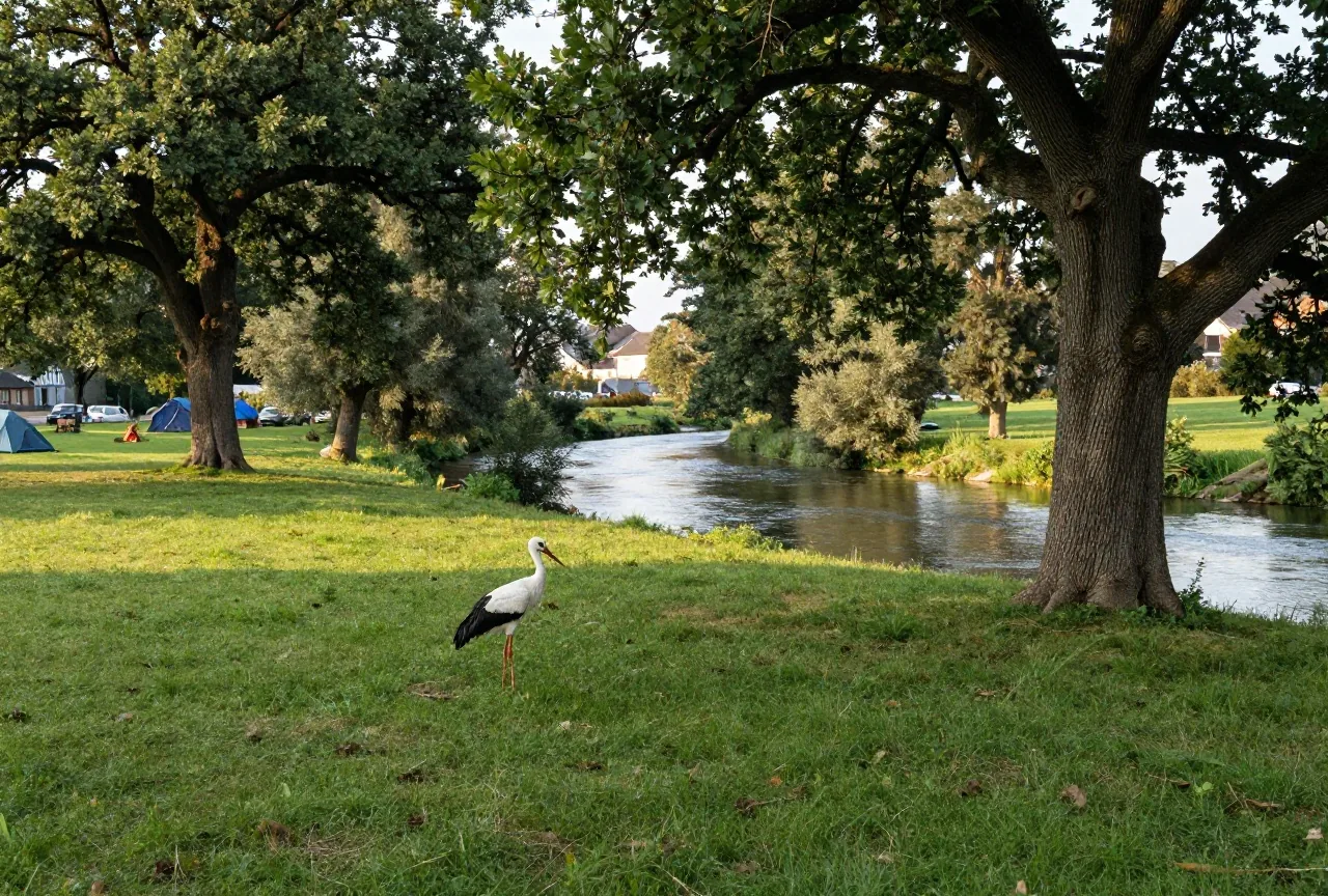 Eine weite Flussaue mit alten Eichen, Wiesen und einer ruhigen Flussbiegung, ein Weißstorch steht im Gras