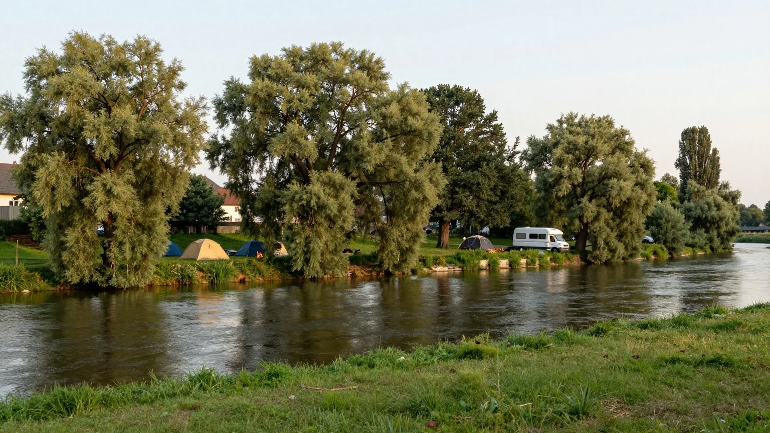 Ein breiter ruhiger Fluss mit Wiesen und alten Weiden am Ufer, Zelte und ein weißes Wohnmobil auf einem Uferplatz
