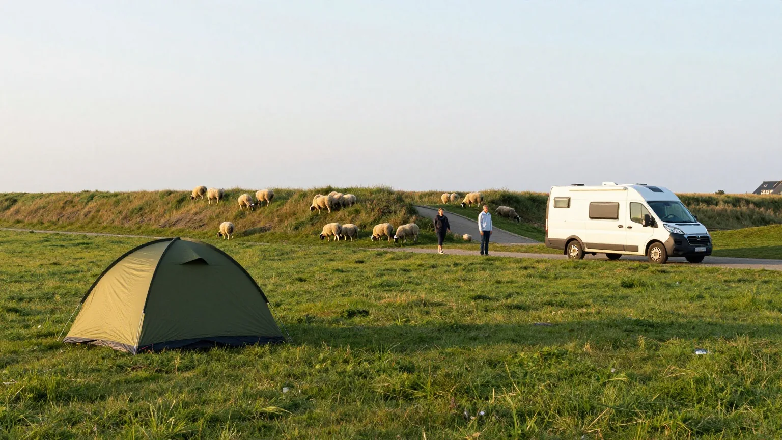 Ein kleines Kuppelzelt und ein weißer Campingbus auf einer Wiese hinter einem grasbewachsenen Deich, auf dem Schafe weiden